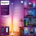 Braytron H154 8W RGBW 5V DC LED Ambient Light Ambiyans Aydınlatma